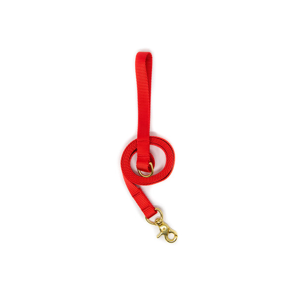 6 Ft Leash Small Dog - Bright Red