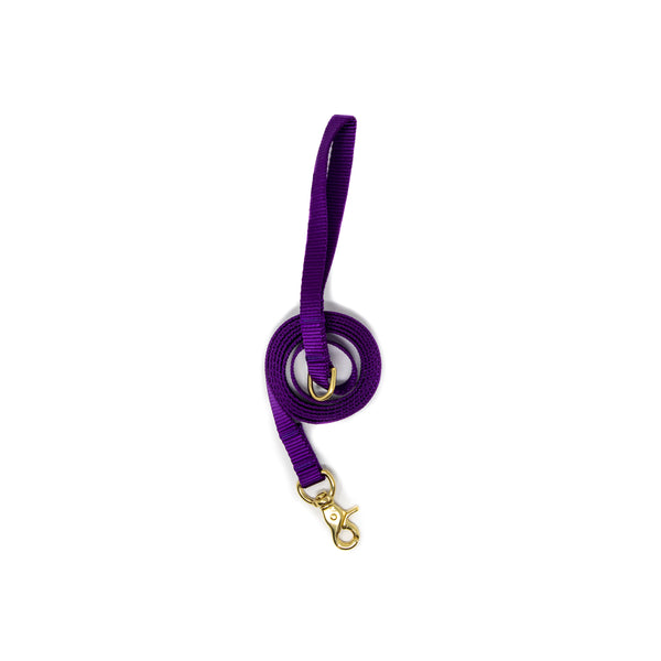 Small Dog Activewear Fi Collar - Purple