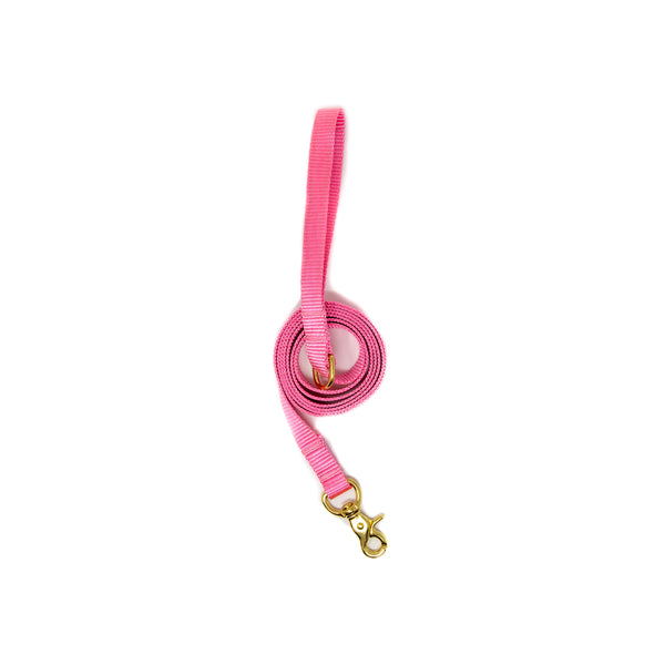 6 Ft Leash Small Dog - Pink