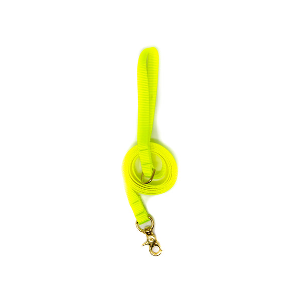 6 Ft Leash Small Dog - Bright Yellow