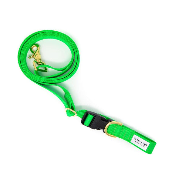 Green - 8 ft. Hands Free Adjustable Leash