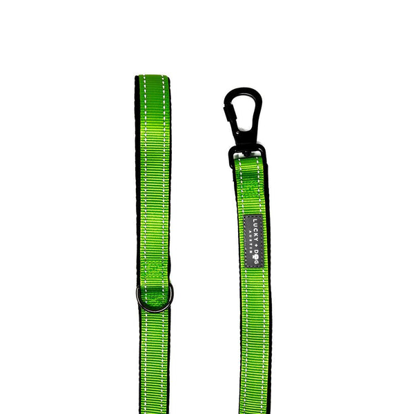 Harness Leash - Bright Green