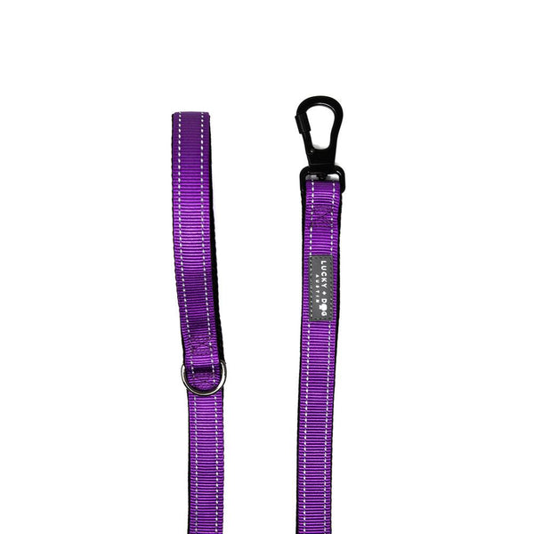 Harness Leash - Purple