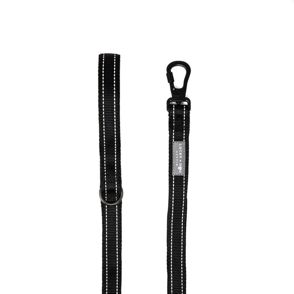 Quick-Fit No-Pull Harness - Black