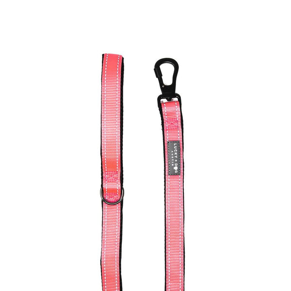 Harness Leash - Pink