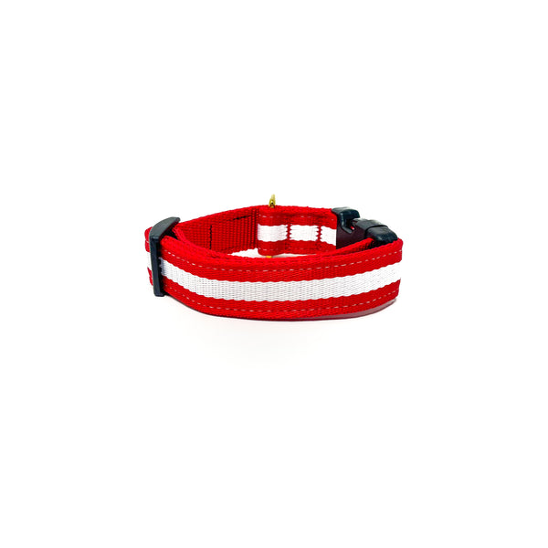 Quick Side-Release Buckle Dog Collar: The Crimson
