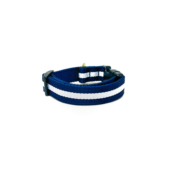 Quick Side-Release Buckle Dog Collar: The Sapphire
