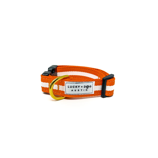 Quick Side-Release Buckle Dog Collar: Orange Crush