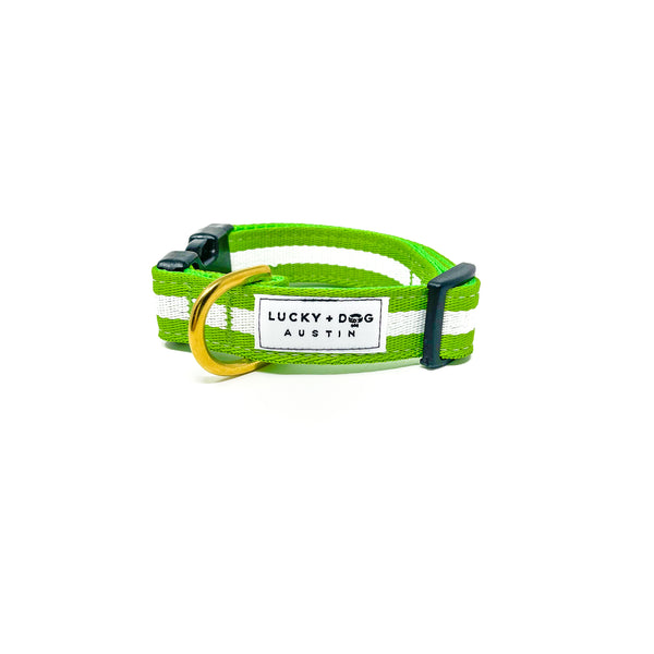 Quick Side-Release Buckle Dog Collar: The Limeade
