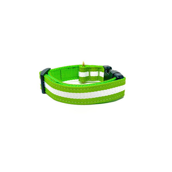 Quick Side-Release Buckle Dog Collar: The Limeade