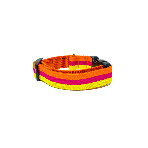 Quick Side-Release Buckle Dog Collar: The Sunset