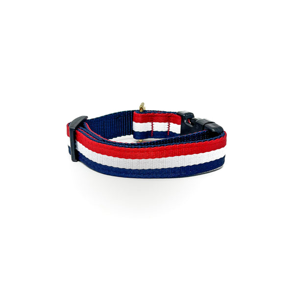 Quick Side-Release Buckle Dog Collar: The Yankee