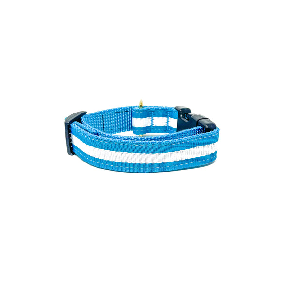 Quick Side-Release Buckle Dog Collar: The Azul