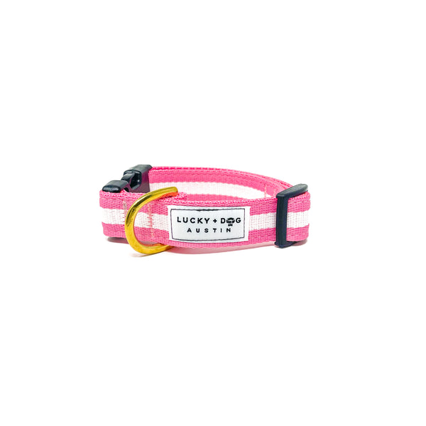 Quick Side-Release Buckle Dog Collar: The Bubble Gum
