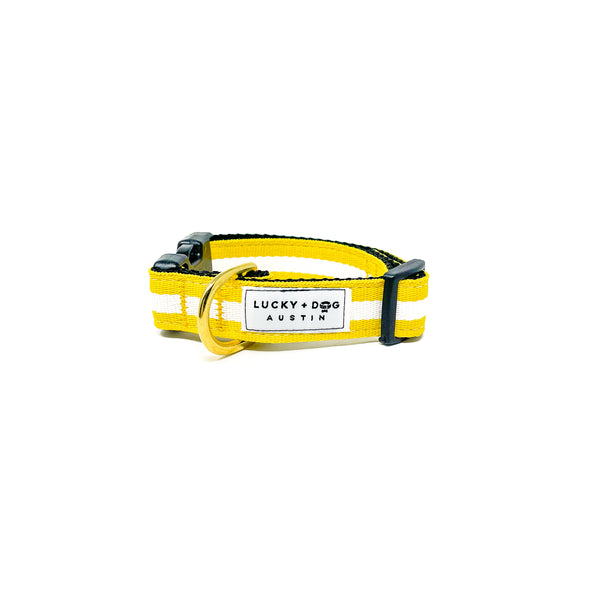 Quick Side-Release Buckle Dog Collar: The Yellow Jacket