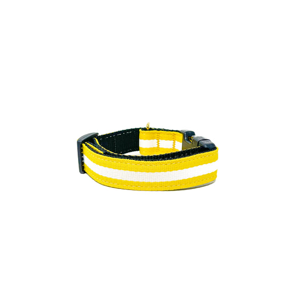 Quick Side-Release Buckle Dog Collar: The Yellow Jacket