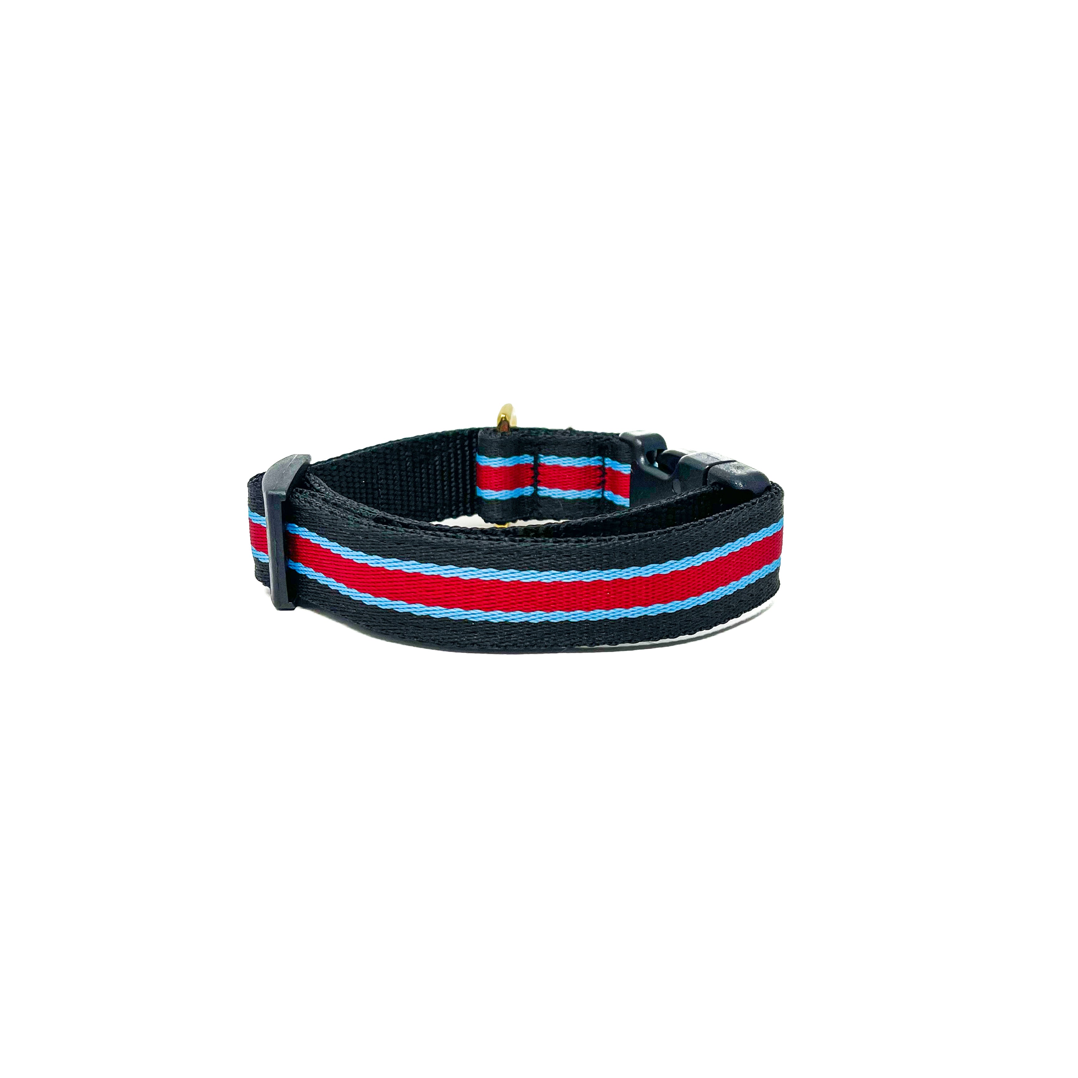 Quick Side-Release Buckle Dog Collar: The Rugby – LUCKY +