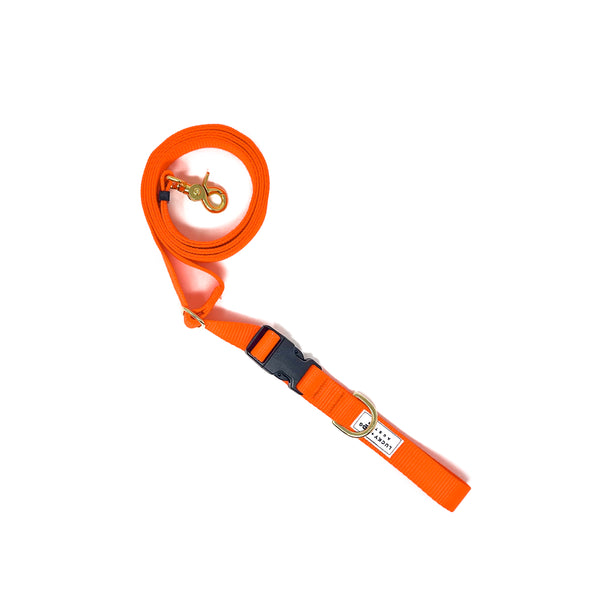 Neon Orange - 8 ft. Hands Free Adjustable Leash