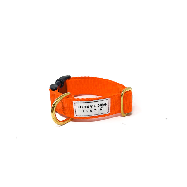 Activewear Collar - Neon Orange