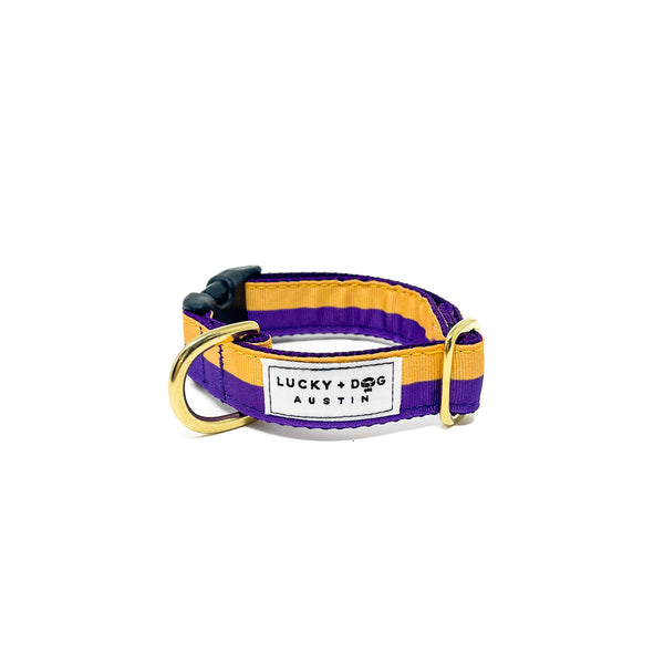 Activewear Collar - Purple and Gold