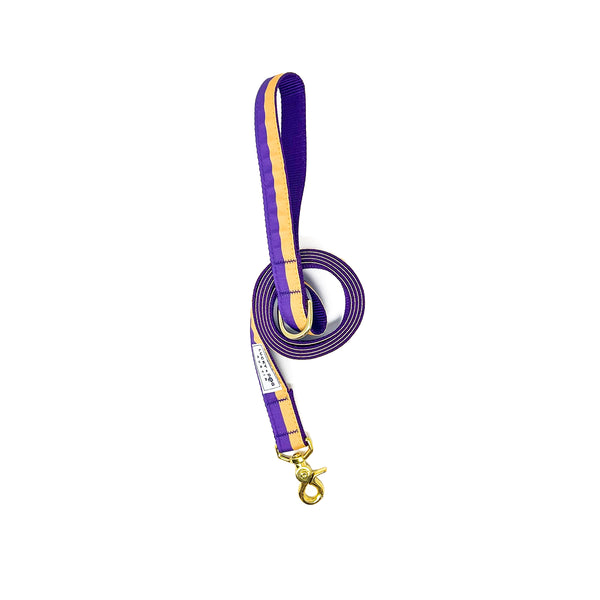 Everday 6 foot leash - Purple & Gold
