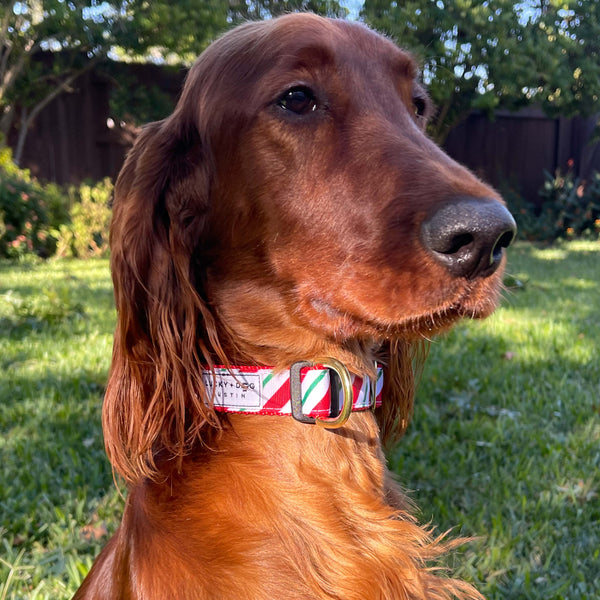 Activewear Candy Cane Stripe