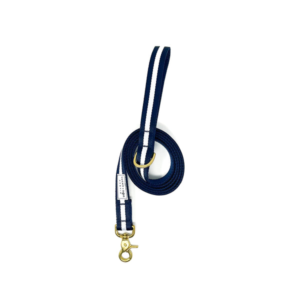 Striped Everyday 6 ft. Leash - Sapphire