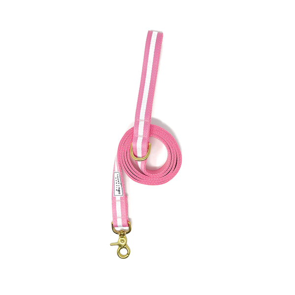 Quick Side-Release Buckle Dog Collar: The Bubble Gum