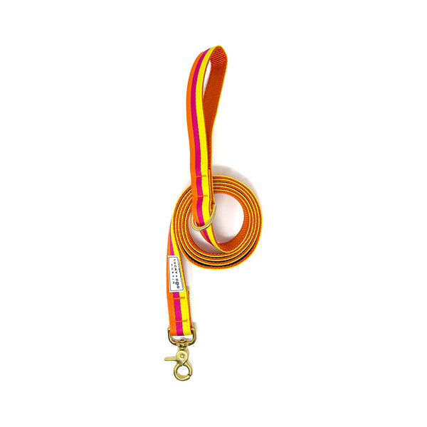 Striped Everyday 6 ft. Leash - Sunset