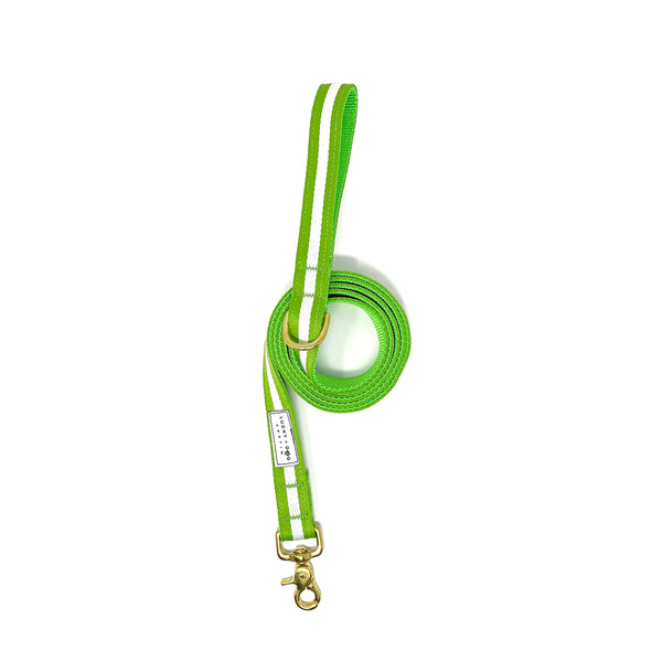 Striped Everyday 6 ft. Leash - Limeade